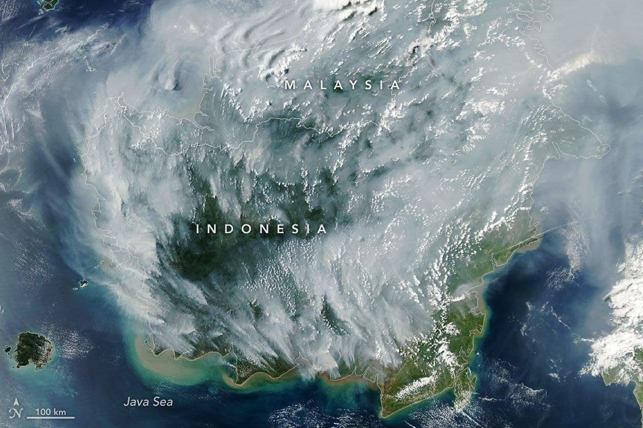Thick smoke plumes from peatland fires across Borneo captured by NASA's Aqua MODIS instrument