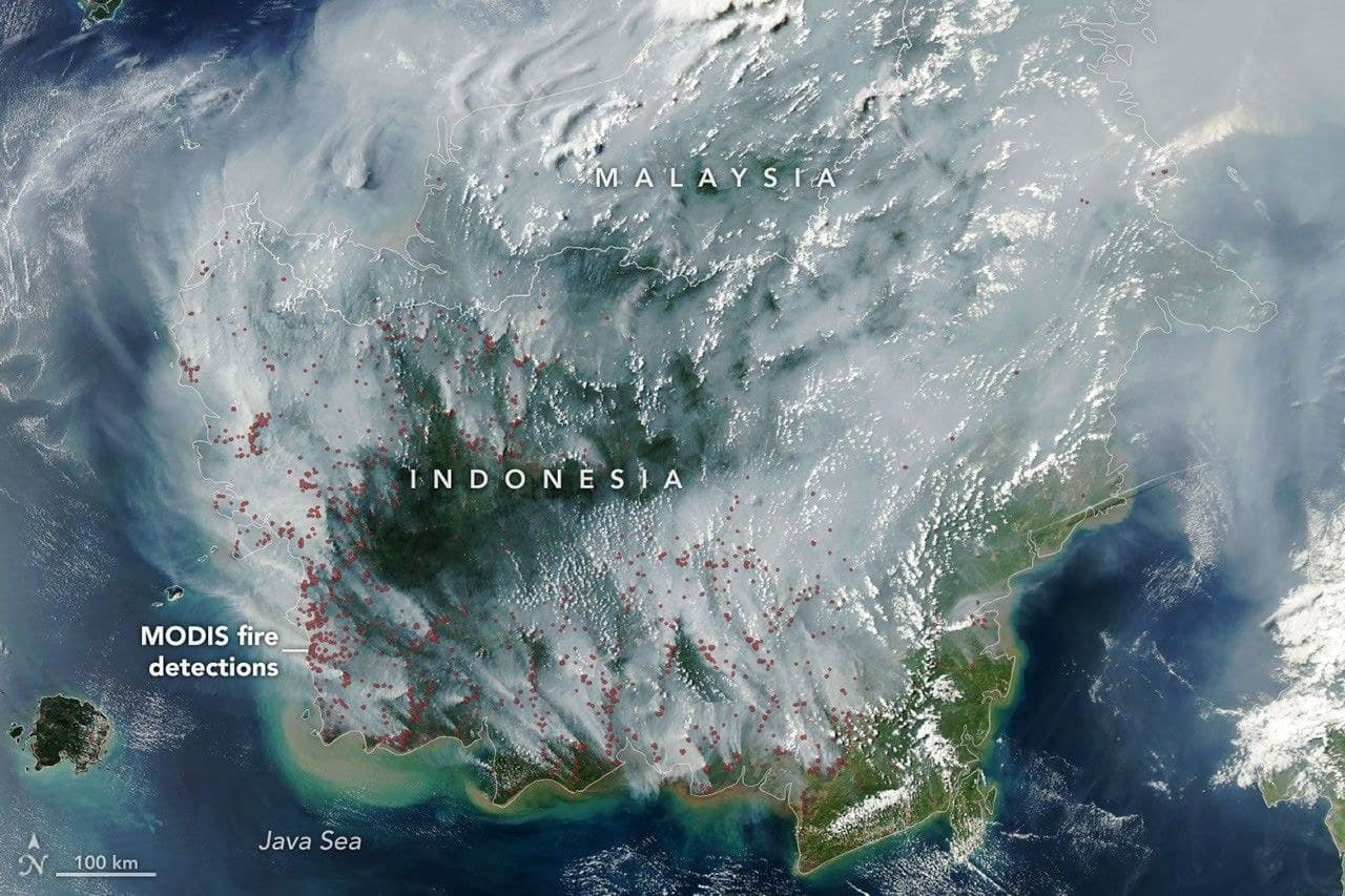 NASA MODIS fire detections across Borneo on 1 September 2026