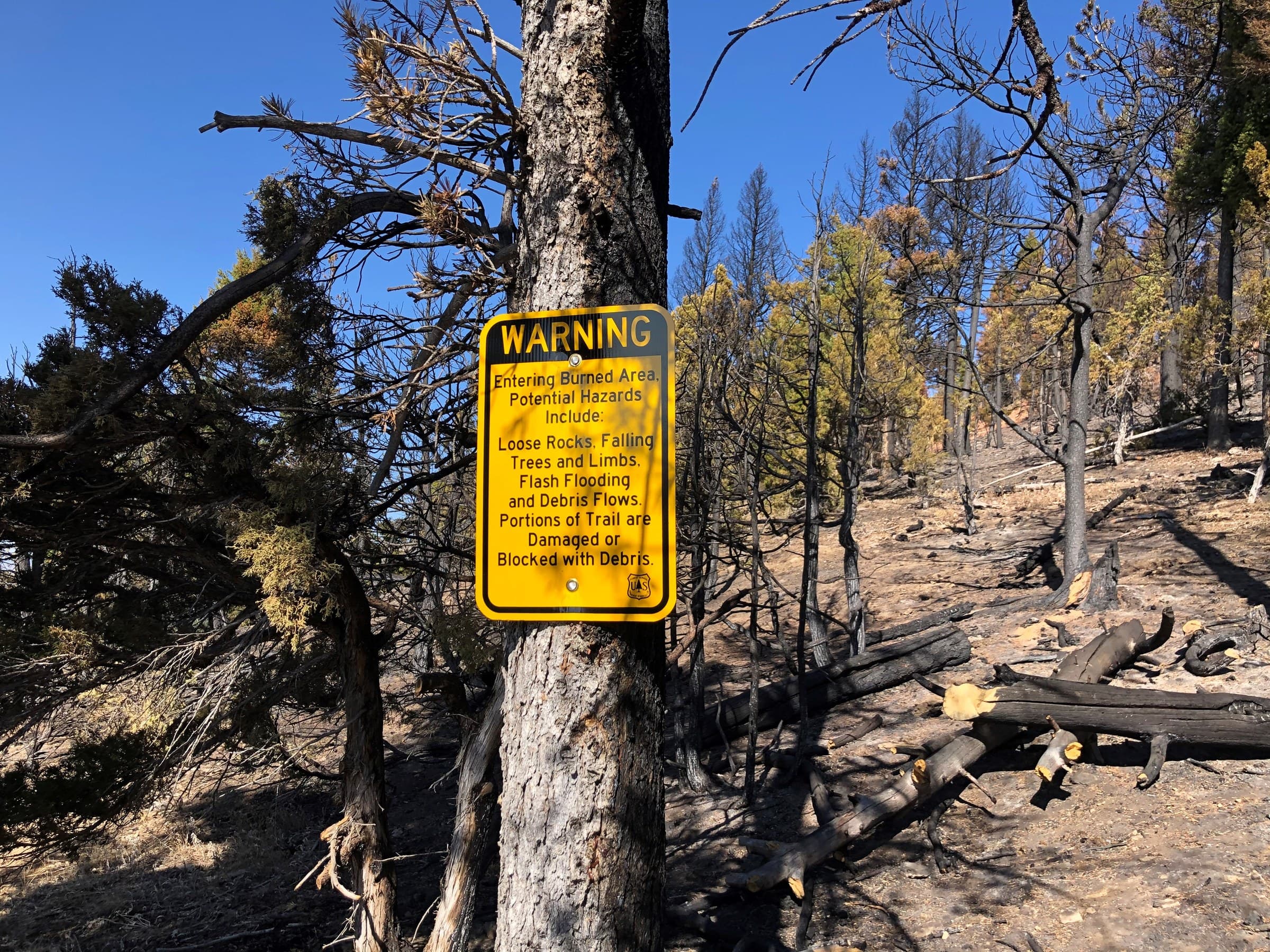 Burned Area Emergency Response specialists assessing post-fire conditions
