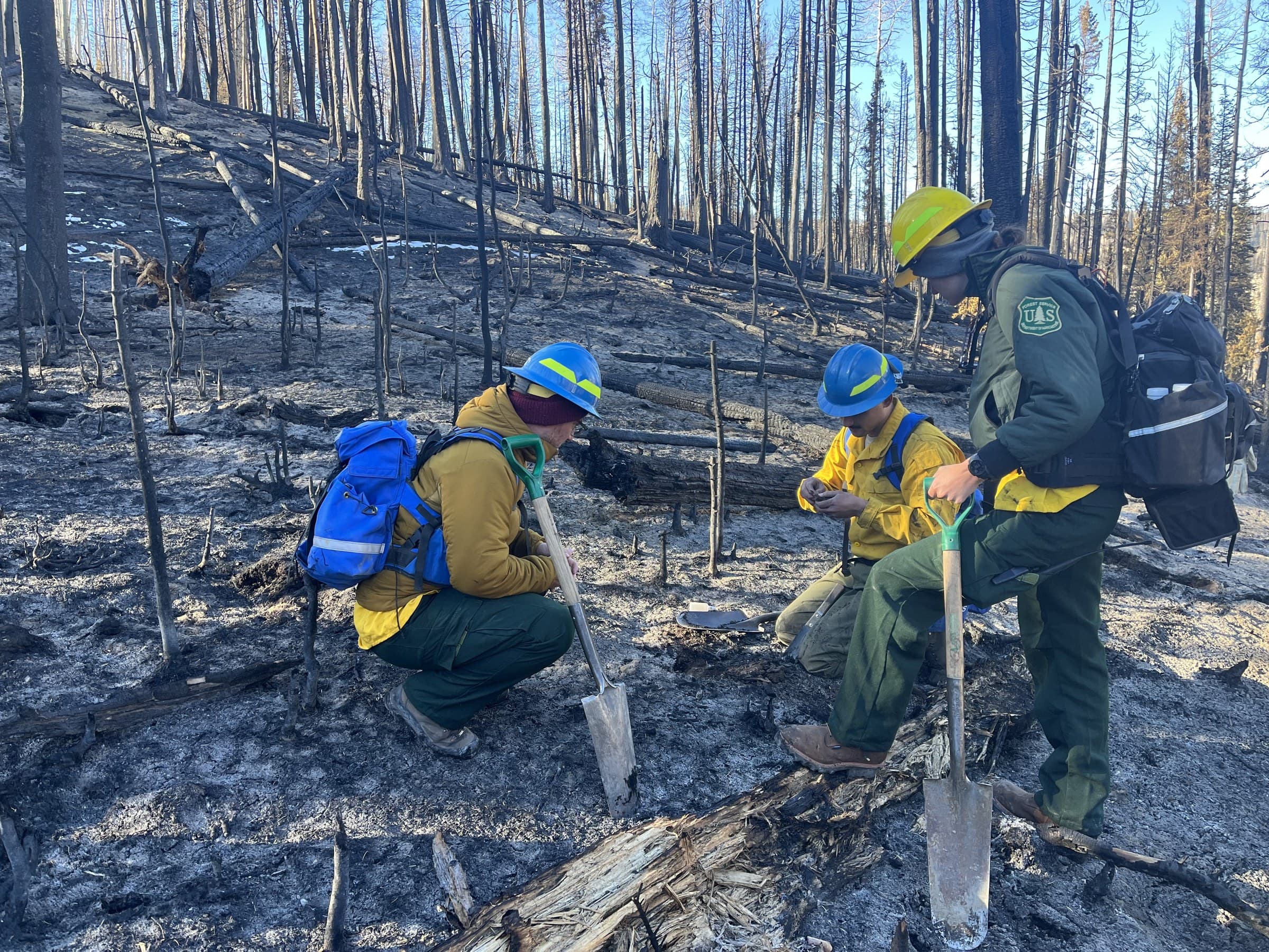 US Forest Service Burned Area Emergency Response specialists conducting a post-fire field assessment