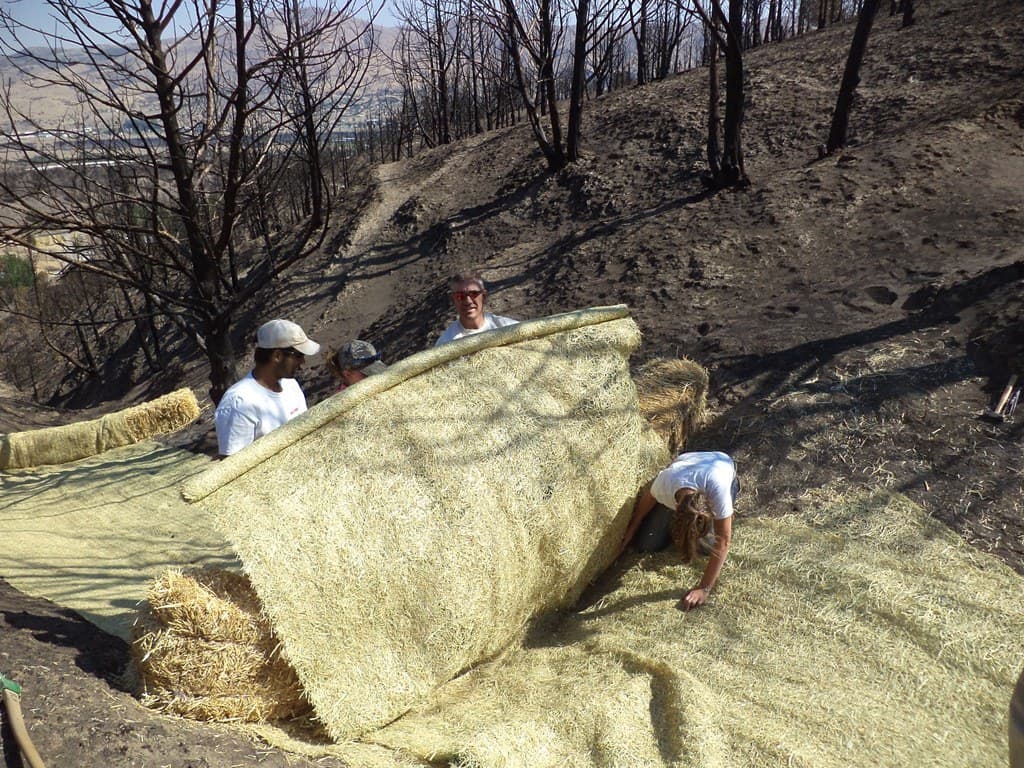 Emergency stabilization and rehabilitation work after a wildfire