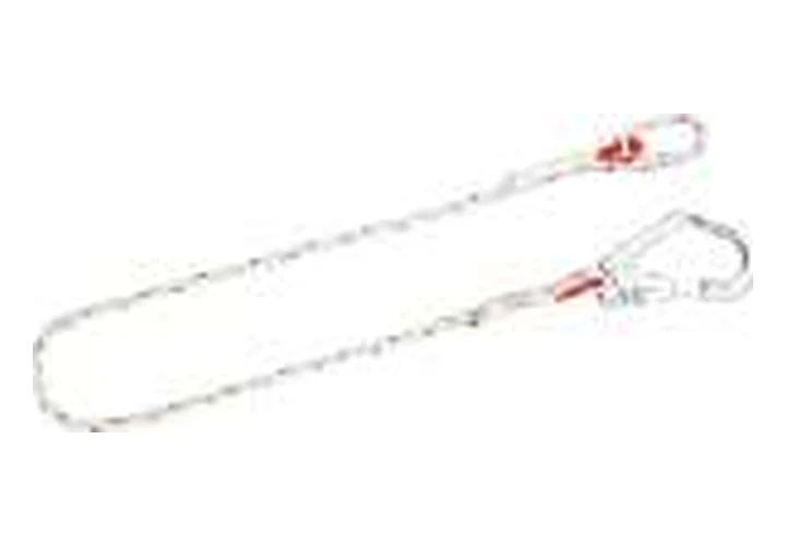 FAL300004 Big Hook Shock Absorbing Lanyard